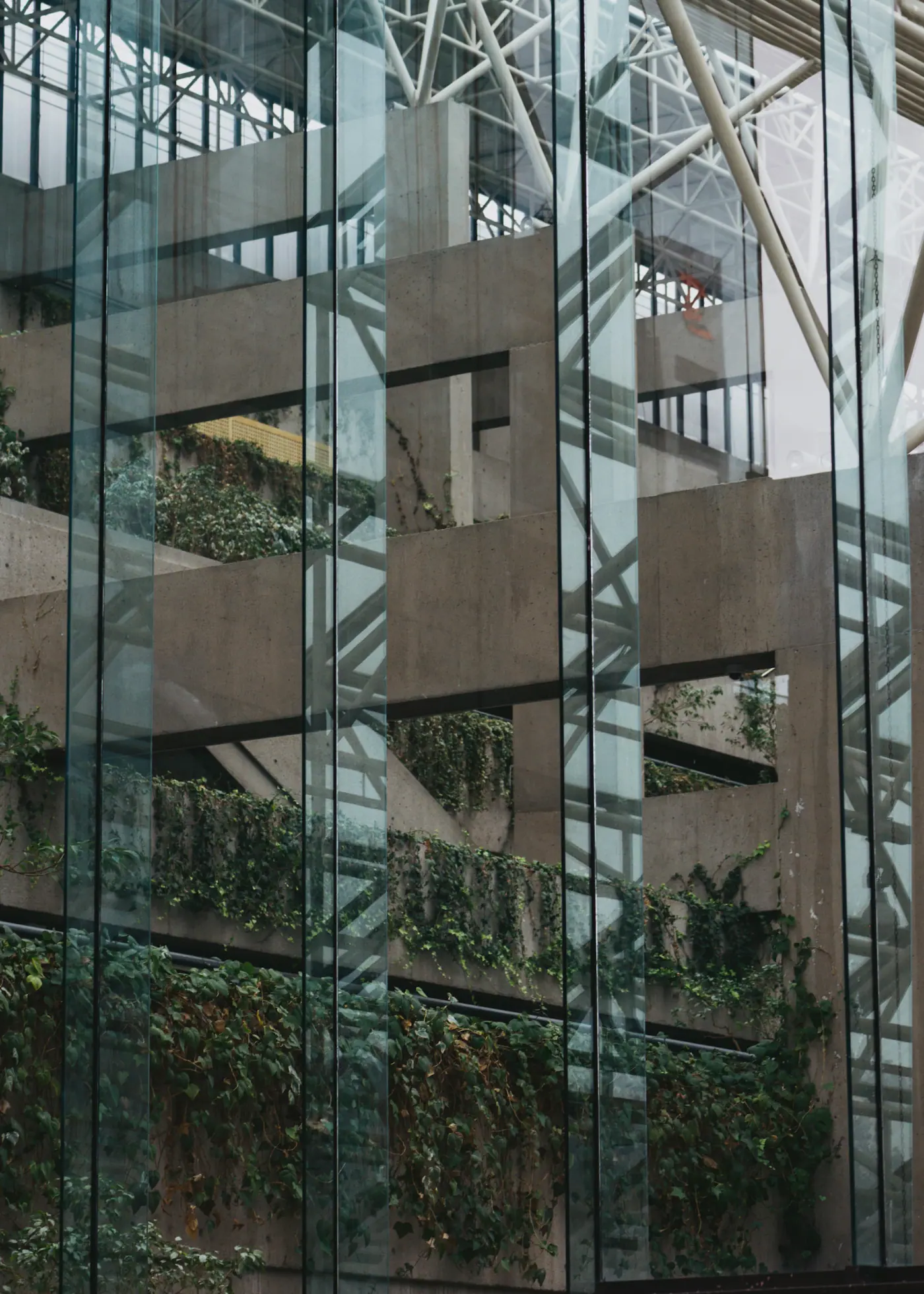 Greenery and glass architecture in Vancouver